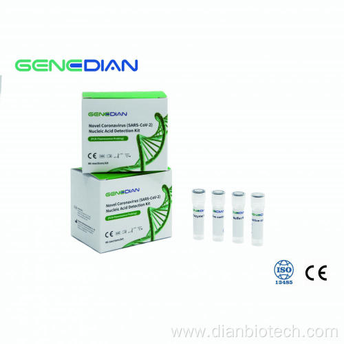 Novel Coronavirus Nucleic Acid Detection Kit